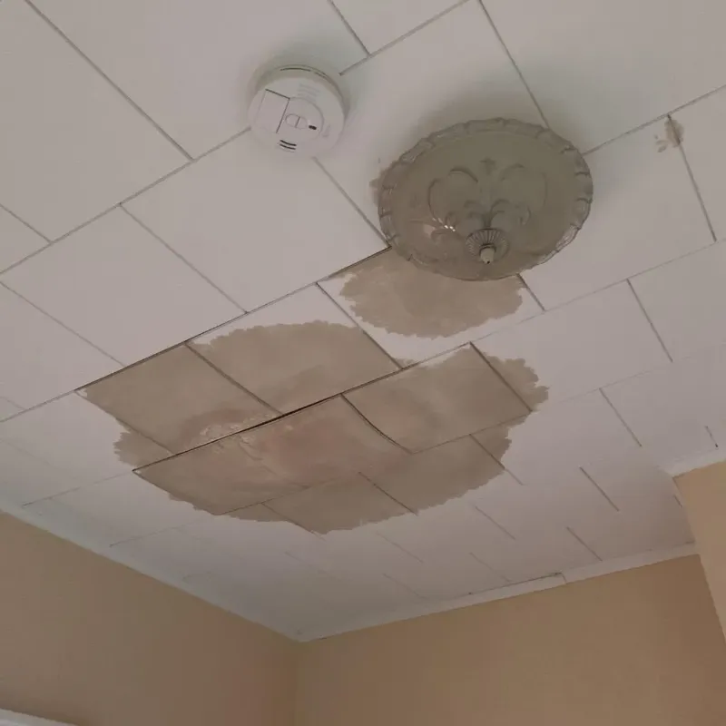 Ceiling Water Damage Repair in Enigma, GA