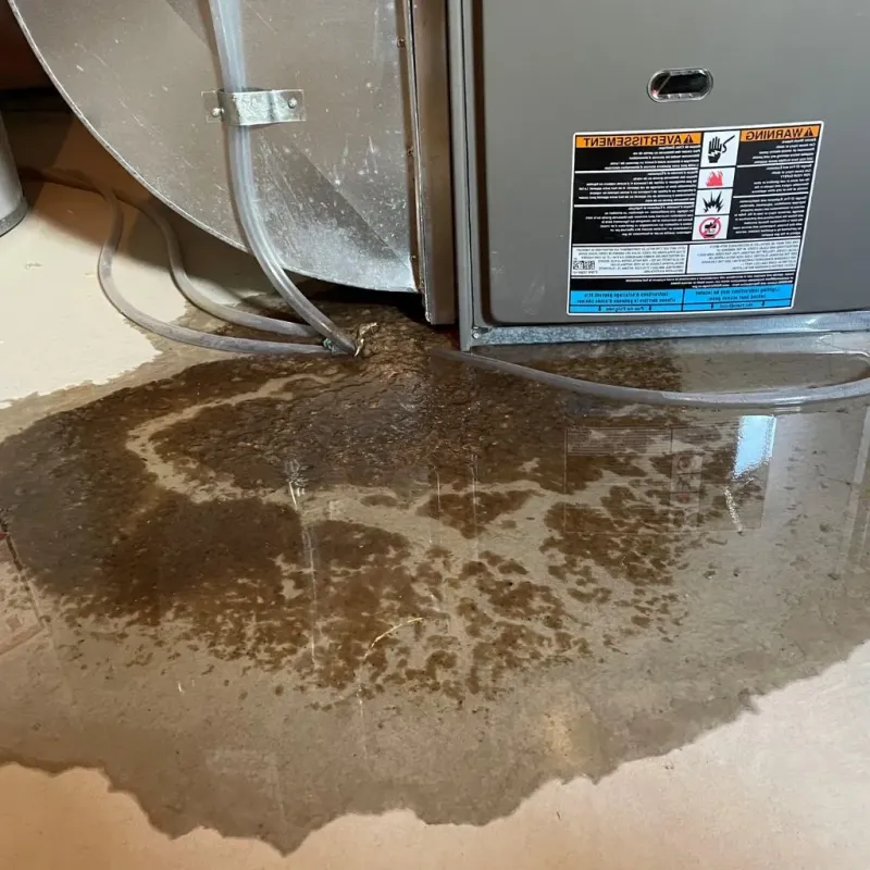 Pipe Burst and Leak Restoration in Enigma, GA