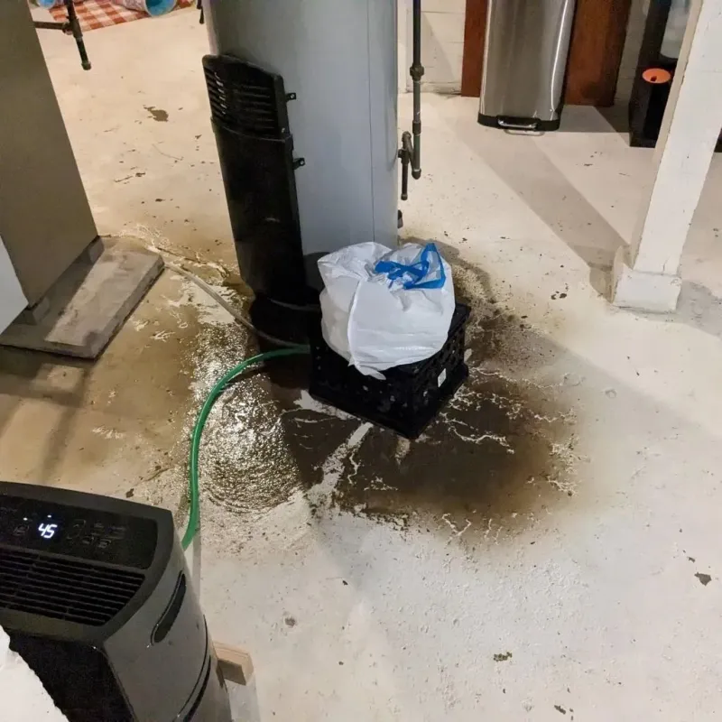 Sewage Backup Cleanup Service in Enigma, GA